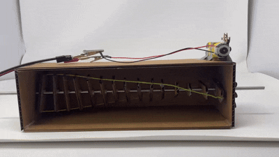 final product: front